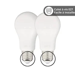 KOZii - Pack de 2 Ampoules LED connectées A60, culot E27, RVB avec télécommande connectée - KPACK2EE806GRVBCCT