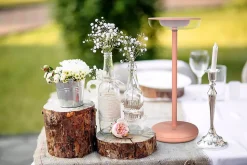 Lampe de table à accu PASI intérieur extérieur métal plastique rose intensité variable tactile fonction mémoire hauteur 26cm