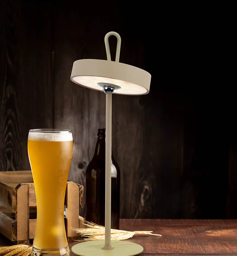 Lampe de table LED à accu magnétique pour l'extérieur et l'intérieur, en métal et plastique en givre , hauteur 36 cm