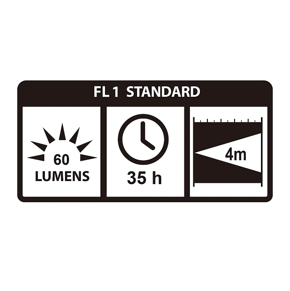 Lanterne LED de camping compacte EverBrite