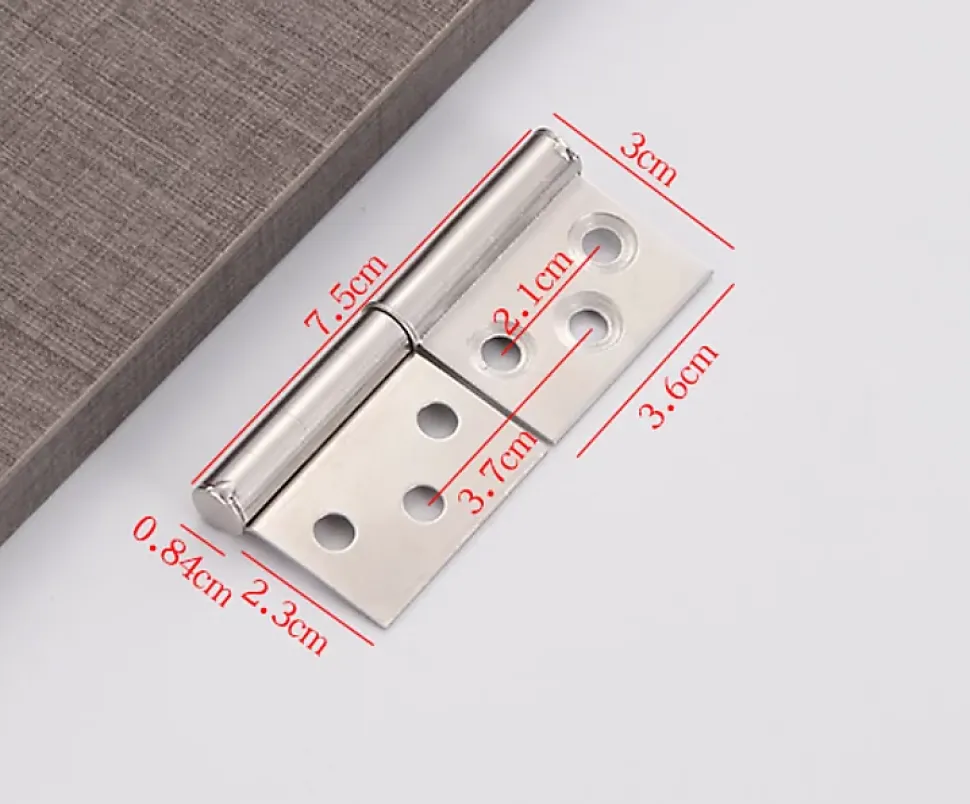 Lot de 2 charnières de porte battante en acier inoxydable, pliables et amovibles, avec vis, 75 x 30 mm