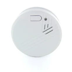 Lot de 2 détecteurs de fumée pile alcaline 1an - Chacon