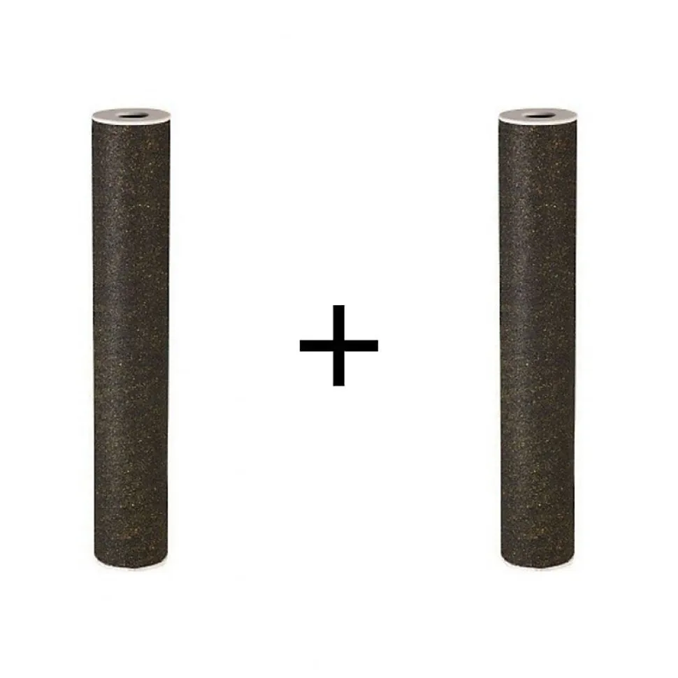 Lot de 2 filtres pour centrale PROTEO 2