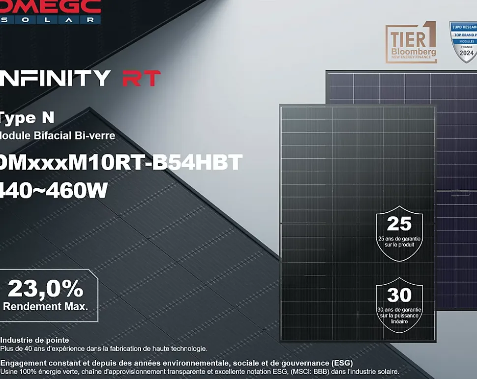 Lot de 2 Panneaux solaires 450Wc DMEGC Bifacial - Bi-verre