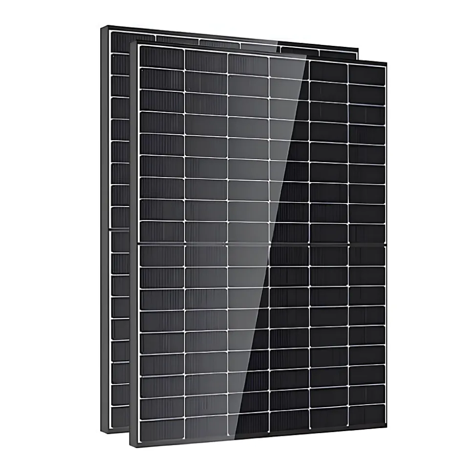 Lot de 2 Panneaux solaires 450Wc DMEGC Bifacial - Bi-verre