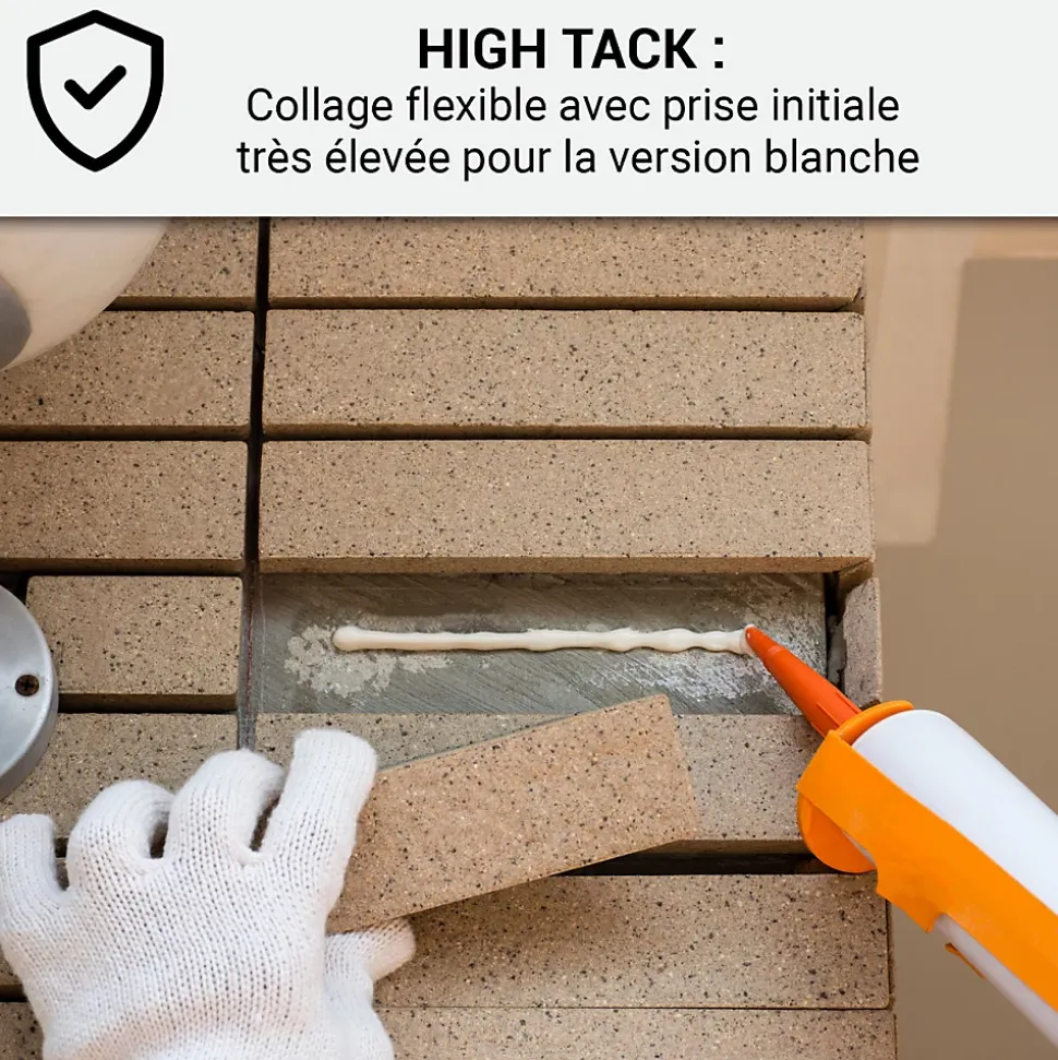 Mastic Colle MS Polymère, étanchéité des sols et murs : ARCAMASTIC POLYMÈRE Transparent - 290 ml x 1 - ARCANE INDUSTRIES
