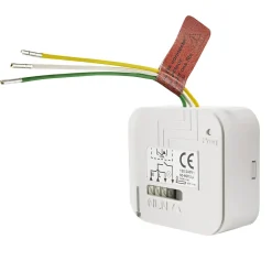 Module de commande sans fil Somfy 2401161 - Eclairage intérieur