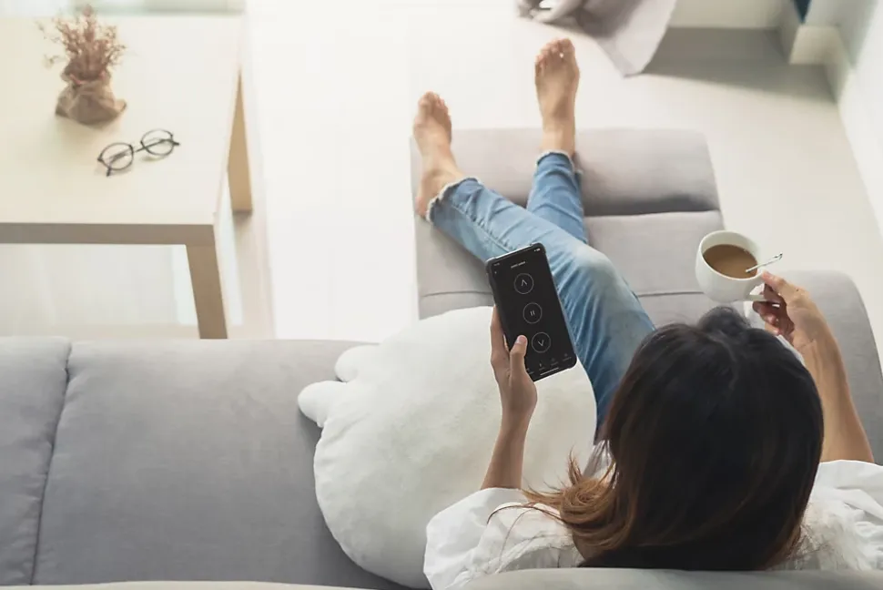 Module volet connecté wifi + télécommande Dio connect Chacon