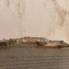Mortier sec anti-sel (20 kg). Crée une couche isolante sur le mur qui empêche l'apparition de taches de sel causées par l'humidité