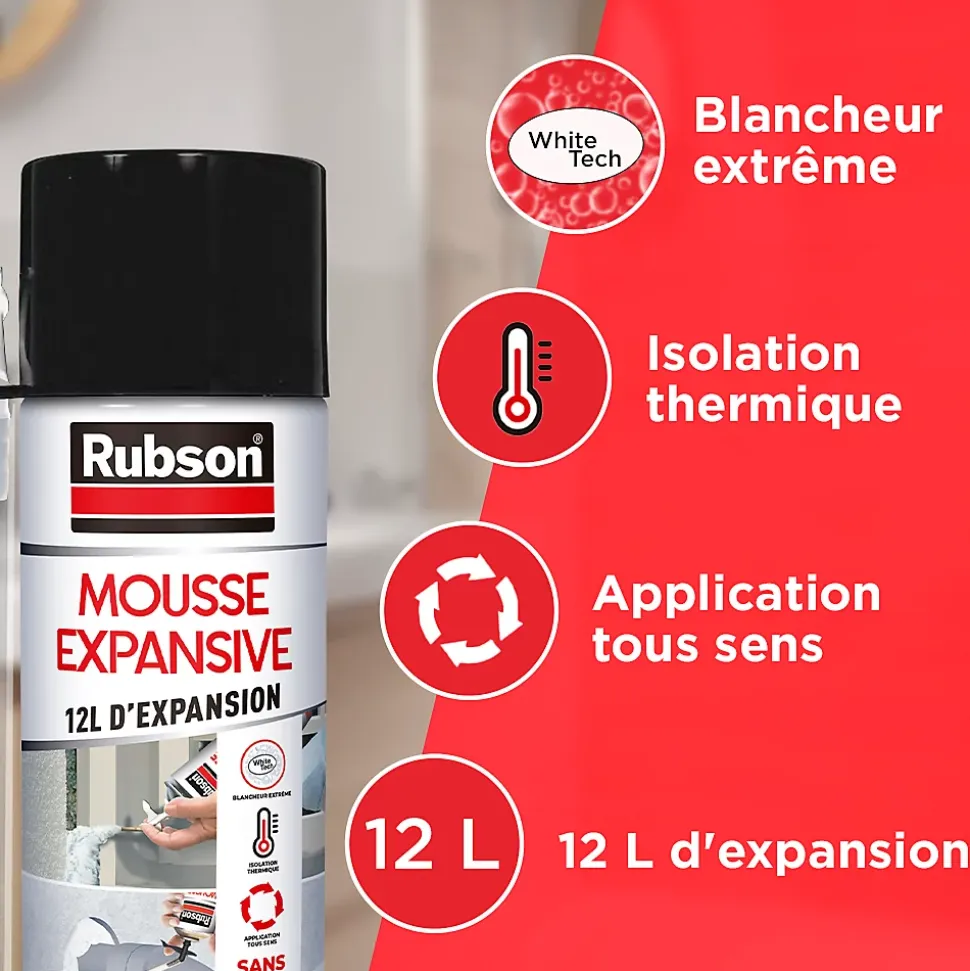 Mousse expansive Rubson aérosol multi-usages 12L