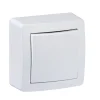 Obturateur complet saillie Schneider Electric Alréa blanc