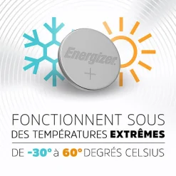 Pack de 2 - Energizer Pile Alcaline LR54, pack de 2 Piles