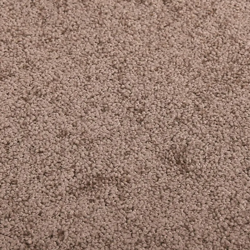 Paillasson Marron 40x60 cm vidaXL