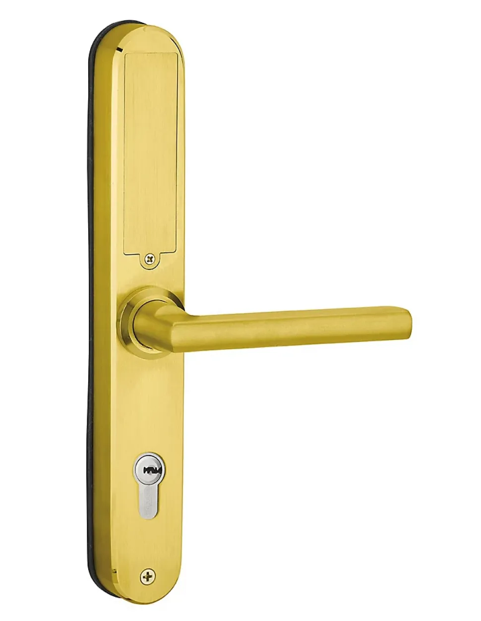 Paire de poignées connectées Intelock Multi, pour porte d'entrée, entr'axes 85mm, doré - INTELOCK