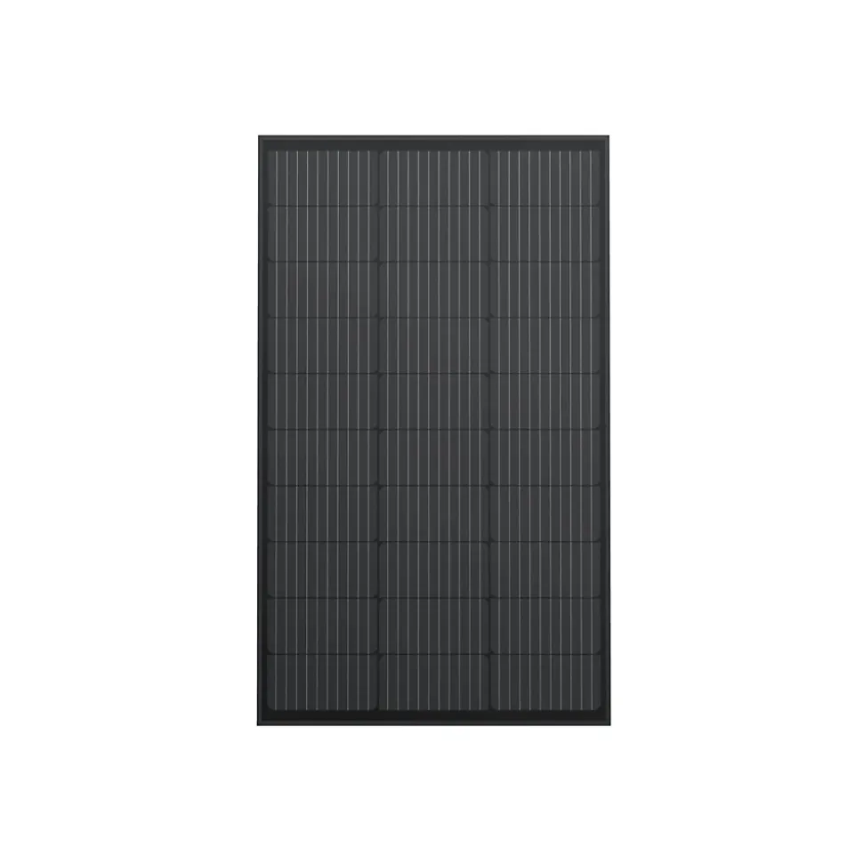 Panneau solaire rigide EcoFlow 2 x 100W