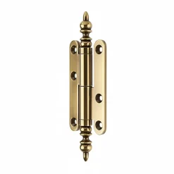 Paumelle à vase acier vieux laiton Diall 110 x 55 mm droite