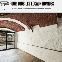 Peinture anti humidité mur humide salle de bain - ARCASCREEN - 10 L (jusqu'à 40 m²) - ARCANE INDUSTRIES