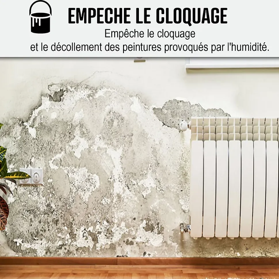 Peinture anti humidité mur humide salle de bain - ARCASCREEN - 10 L (jusqu'à 40 m²) - ARCANE INDUSTRIES