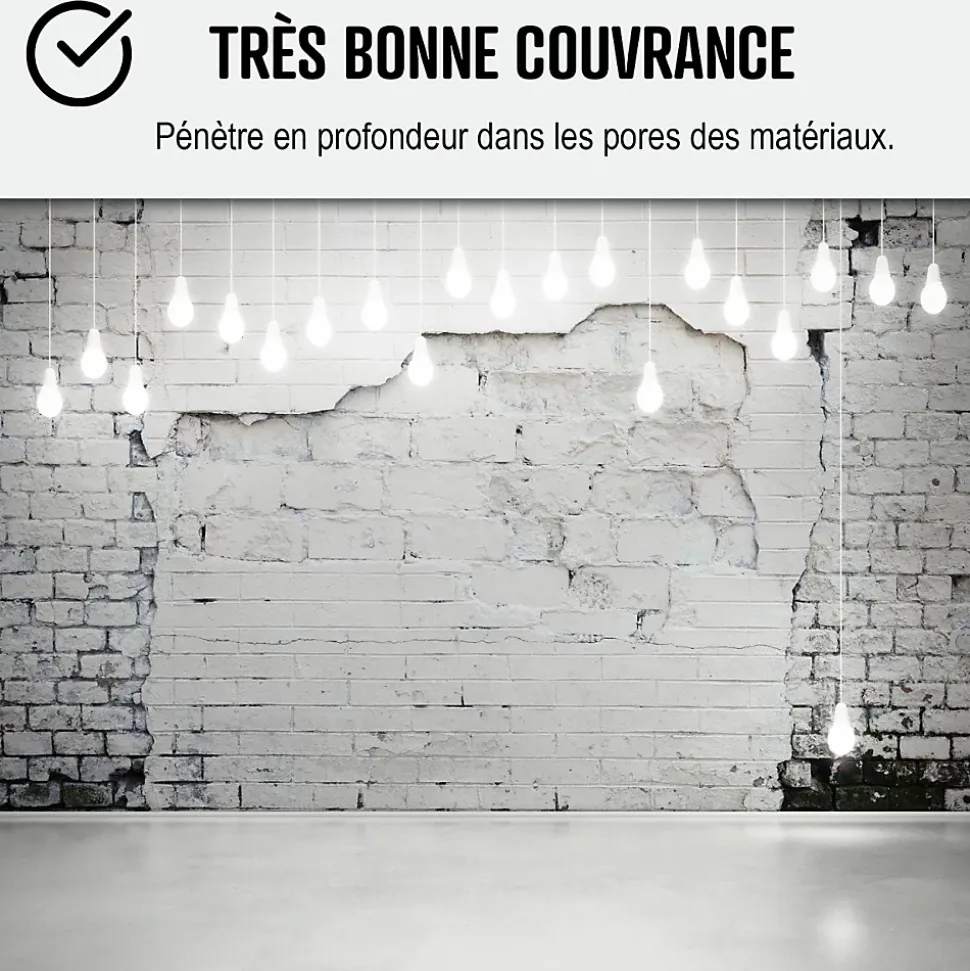 Peinture anti humidité mur humide salle de bain - ARCASCREEN - 2.5 L (jusqu'à 10 m²) - ARCANE INDUSTRIES