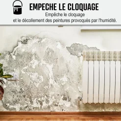Peinture anti humidité mur humide salle de bain - ARCASCREEN - 2.5 L (jusqu'à 10 m²) - ARCANE INDUSTRIES