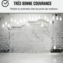 Peinture anti humidité mur humide salle de bain - ARCASCREEN - 0.75 L (jusqu'à 3 m²) - ARCANE INDUSTRIES