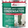 Peinture anti-condensation, anti odeur pour pièces humides Vert clair - RAL 6027 - 10 L - ARCANE INDUSTRIES