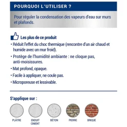 Peinture anti-condensation intérieur mat blanc Ripolin 0,75L