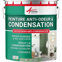 Peinture anti-condensation, anti odeur pour pièces humides Vert Pâle - RAL 6021 - 10 L - ARCANE INDUSTRIES