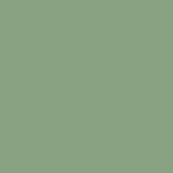 Peinture anti-condensation, anti odeur pour pièces humides Vert Pâle - RAL 6021 - 10 L - ARCANE INDUSTRIES