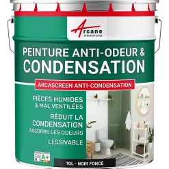 Peinture anti-condensation, anti odeur pour pièces humides Noir foncé RAL 9005 - 10 L - ARCANE INDUSTRIES