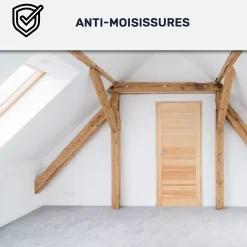 Peinture anti-condensation, anti odeur pour pièces humides Rouge beige - RAL 3012 - 2.5 L - ARCANE INDUSTRIES