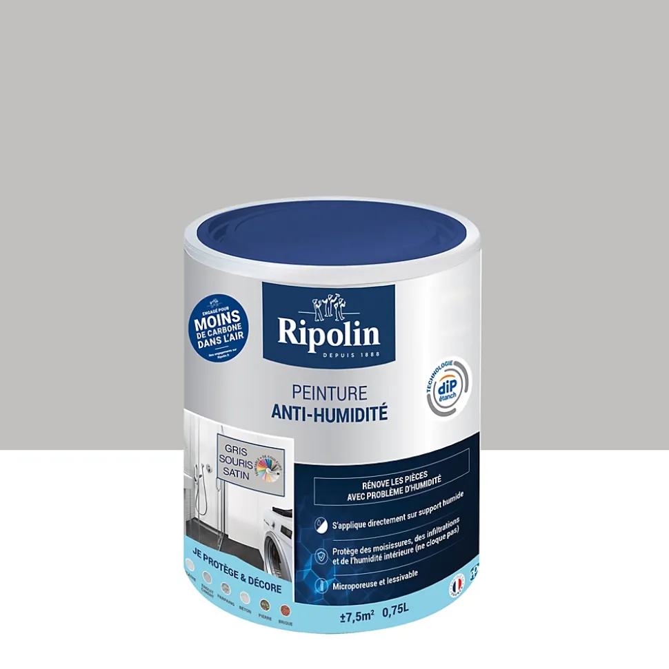 Peinture anti-humidité intérieur satin gris souris Ripolin 0,75L