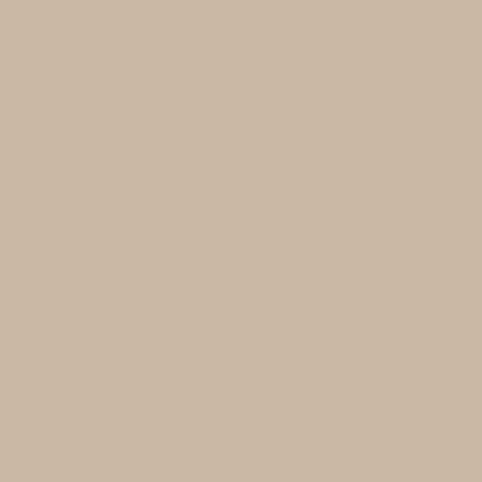 Peinture anti-humidité intérieur satin lin Ripolin 2,5L