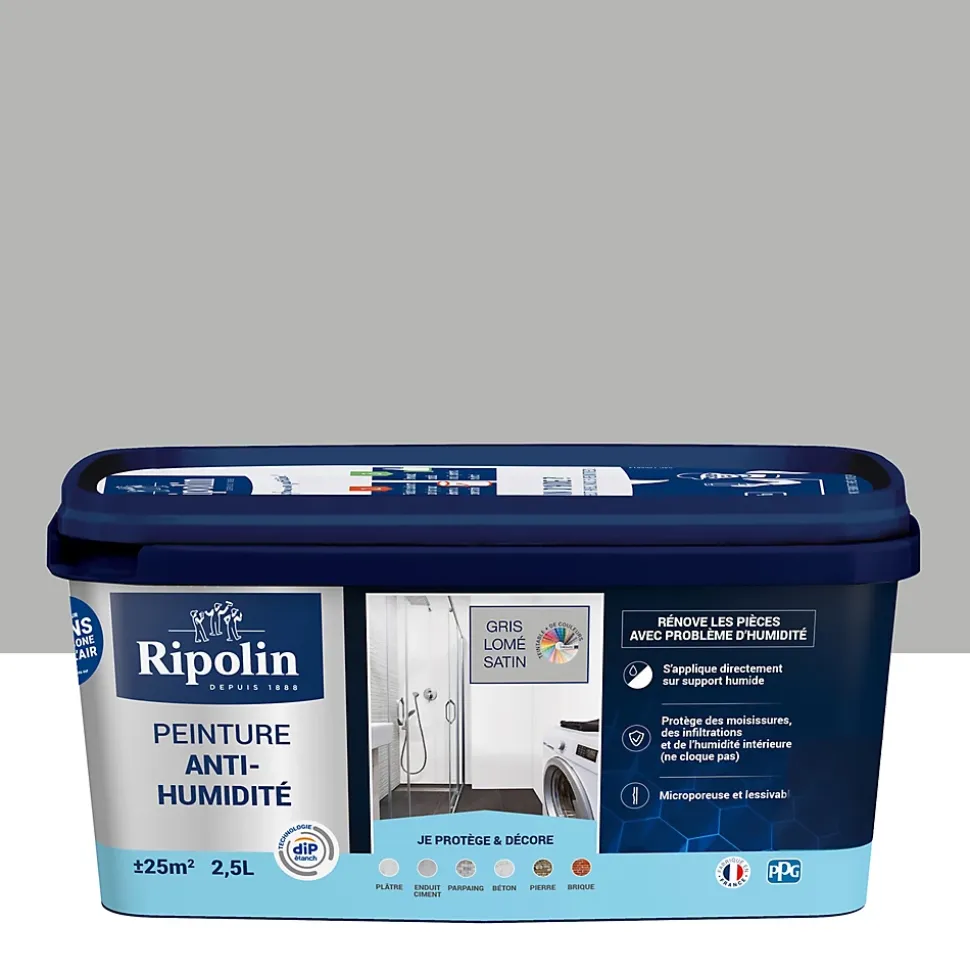Peinture anti-humidité intérieur satin gris lome Ripolin 2,5L