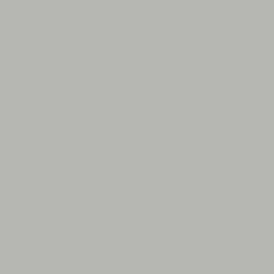 Peinture anti-humidité intérieur satin gris lome Ripolin 0,75L