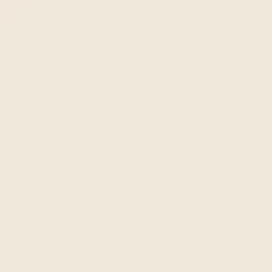 Peinture cuisine lavable, mur et plafond Blanc Crème - 10 L - ARCANE INDUSTRIES
