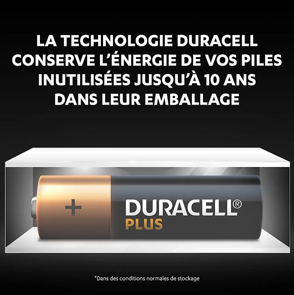 Pile alcaline AA (LR6) Duracell Plus non rechargeable, lot de 12