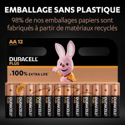 Pile alcaline AA (LR6) Duracell Plus non rechargeable, lot de 12
