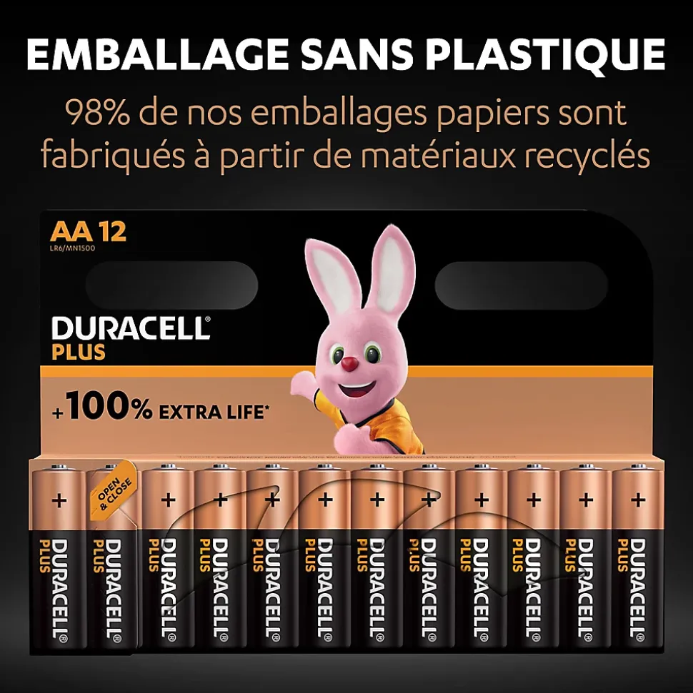 Pile alcaline AA (LR6) Duracell Plus non rechargeable, lot de 12