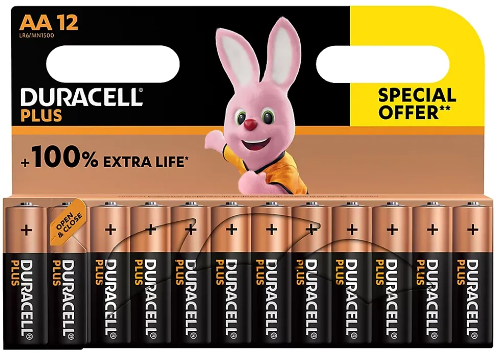 Pile alcaline AA (LR6) Duracell Plus, lot de 12