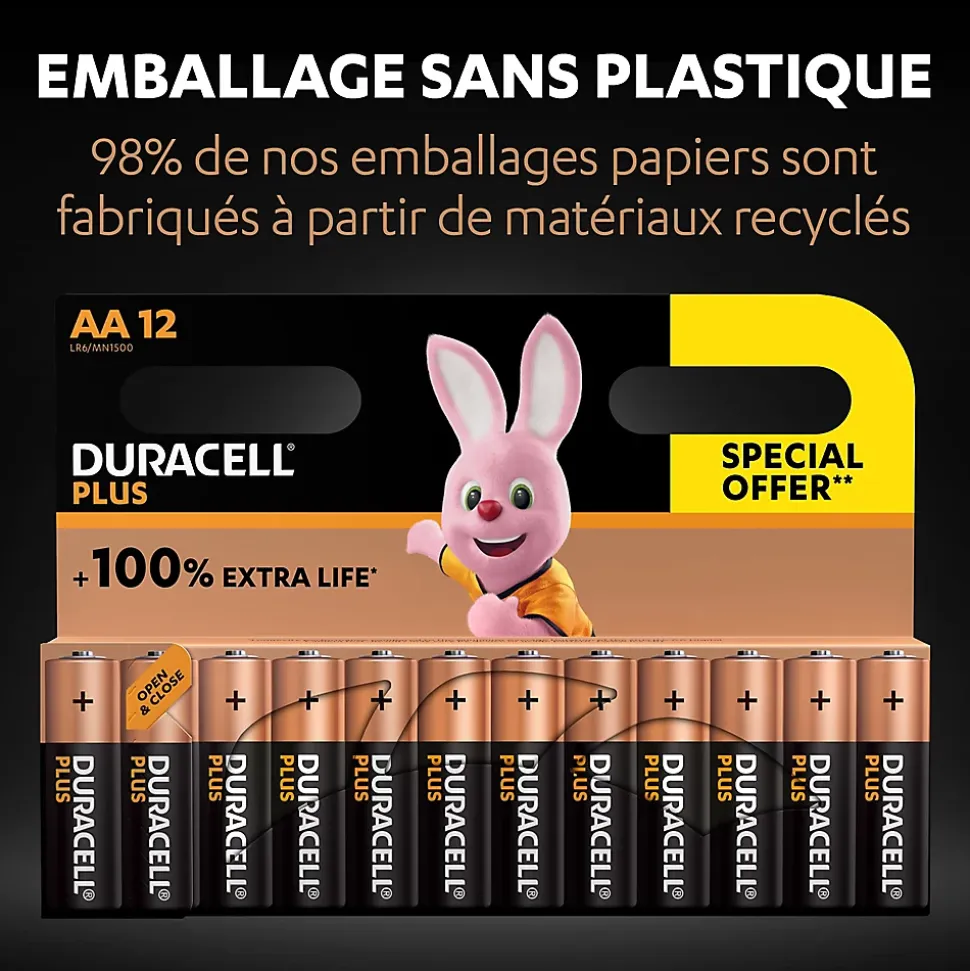 Pile alcaline AA (LR6) Duracell Plus, lot de 12