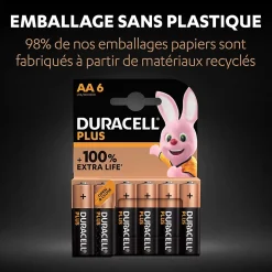 Pile alcaline AA (LR6) Duracell Plus, lot de 6