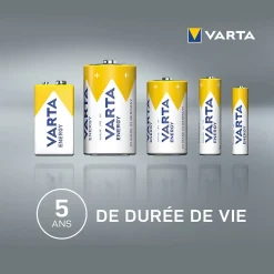 Pile alcaline AA (LR6) Varta, lot de 24