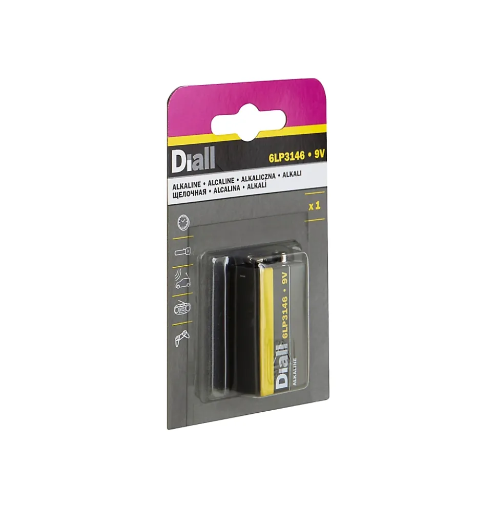 Pile alcaline PP3 (6LR51) Diall, lot de 1