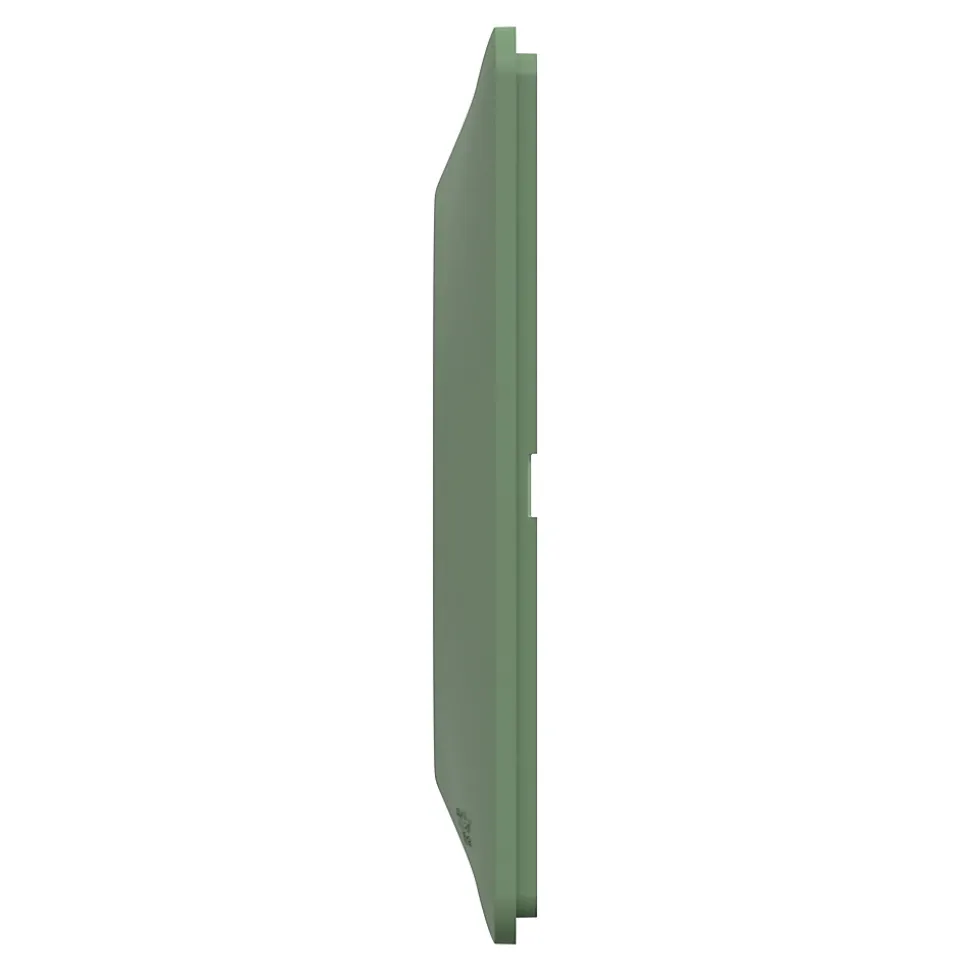 Plaque de finition 1 poste Schneider Electric Ovalis S320702B coloris vert forêt l.87 x P.10 x H.87 mm