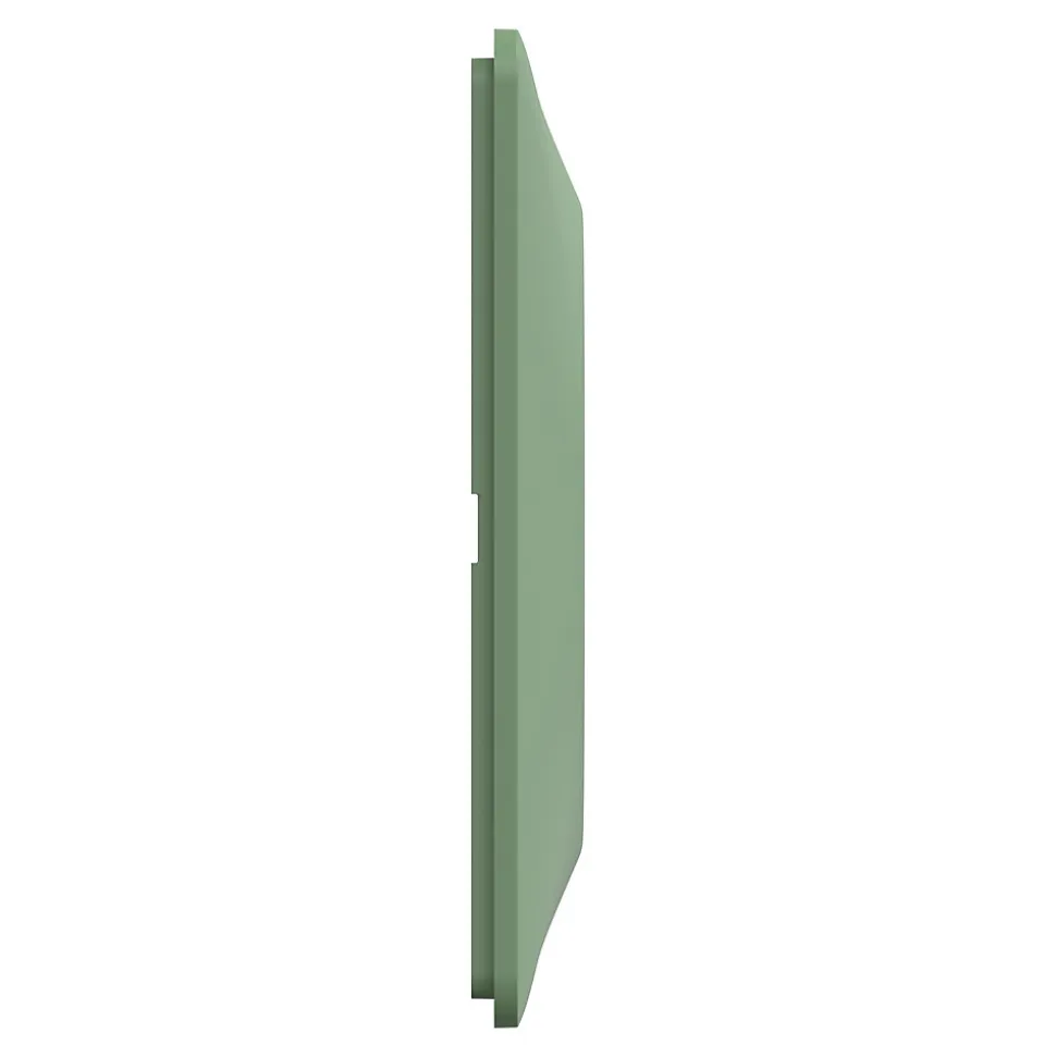 Plaque de finition 1 poste Schneider Electric Ovalis S320702B coloris vert forêt l.87 x P.10 x H.87 mm