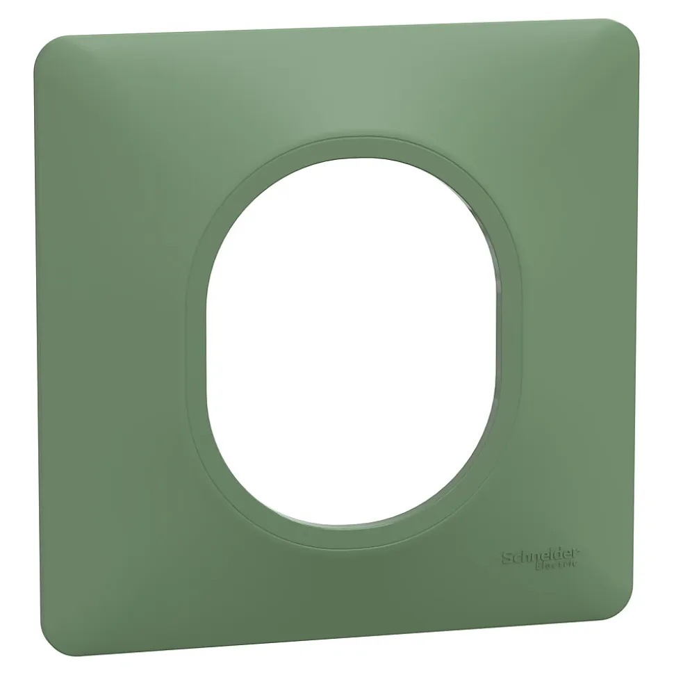 Plaque de finition 1 poste Schneider Electric Ovalis S320702B coloris vert forêt l.87 x P.10 x H.87 mm