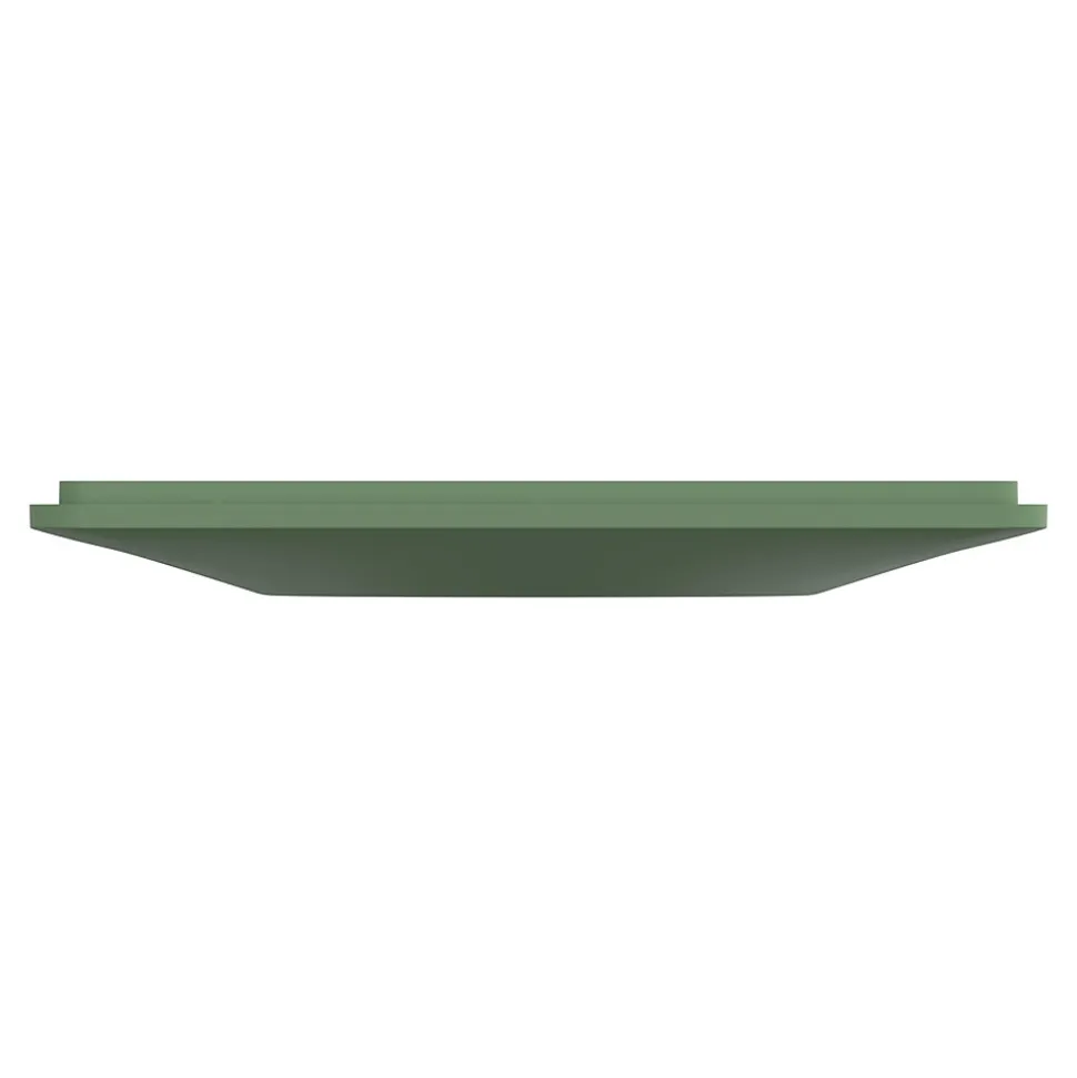 Plaque de finition 1 poste Schneider Electric Ovalis S320702B coloris vert forêt l.87 x P.10 x H.87 mm