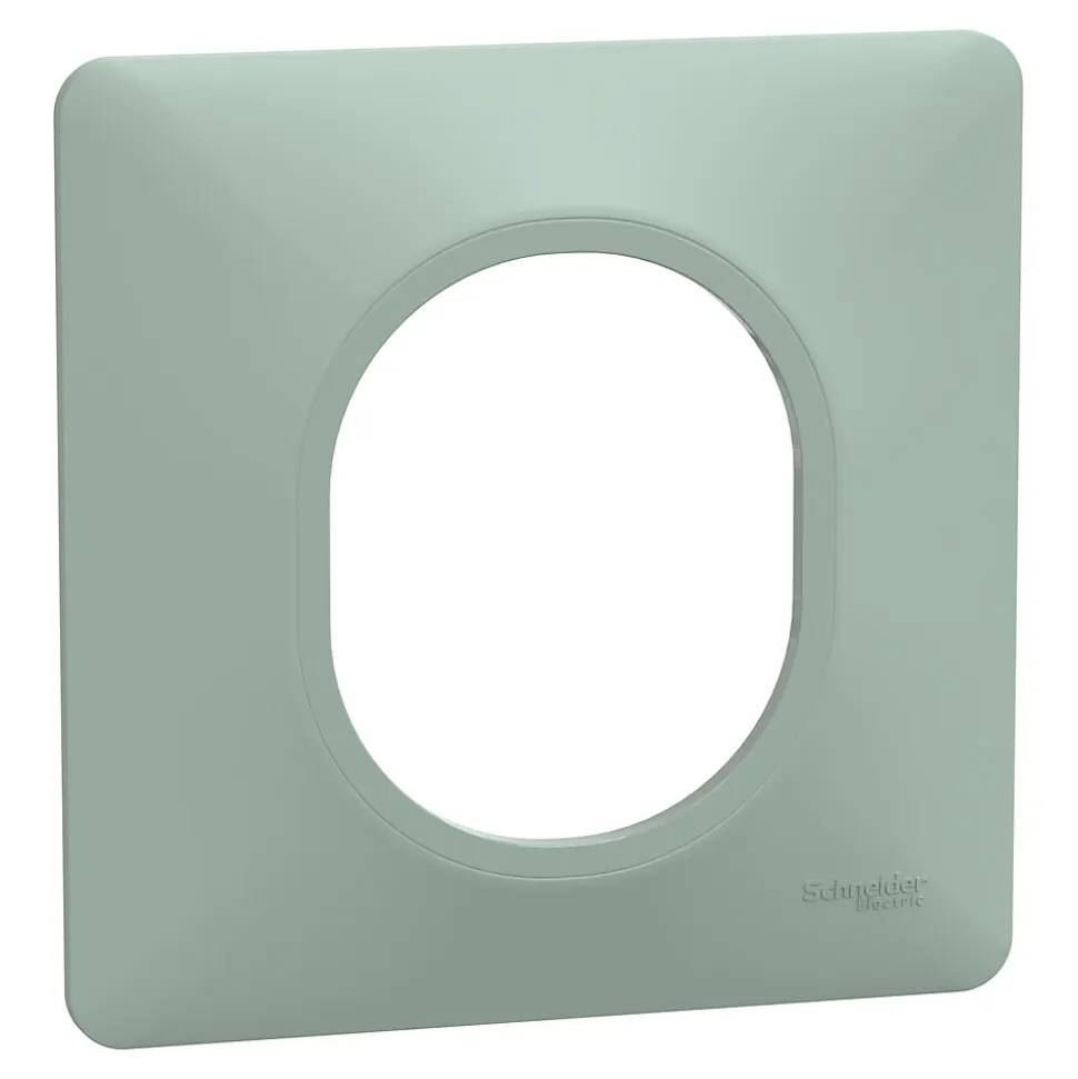 Plaque de finition 1 poste Schneider Electric Ovalis S320702A coloris sauge l.87 x P.10 x H.87 mm