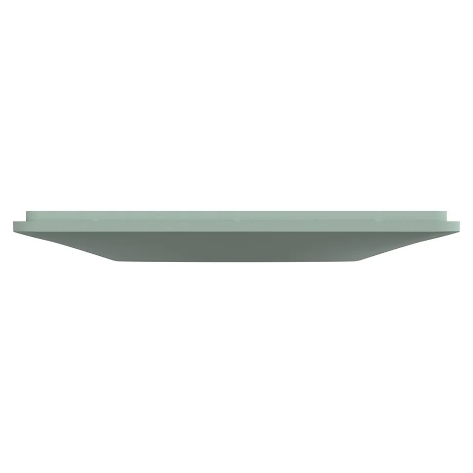 Plaque de finition 1 poste Schneider Electric Ovalis S320702A coloris sauge l.87 x P.10 x H.87 mm